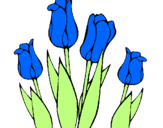 Desenho Tulipa pintado por andreia
