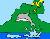 Desenho Golfinho e gaviota pintado por jhulia