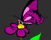 Desenho Borboleta numa flor pintado por ewellyn