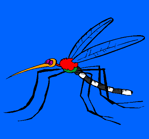 Desenho Mosquito pintado por kaiqui