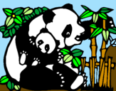 Desenho Mamã panda pintado por Leonor