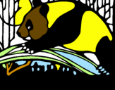 Desenho Urso panda a comer pintado por jose antonio