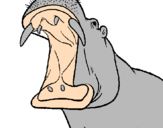 Desenho Hipopótamo com a boca aberta pintado por BIEL