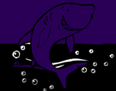 Desenho Tubarão pintado por Alanas