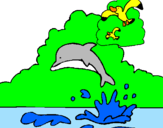 Desenho Golfinho e gaviota pintado por nathalia