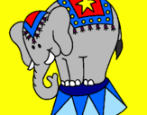 Desenho Elefante a actuar pintado por Patricia
