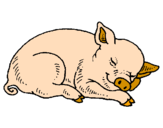 Desenho Porco a dormir pintado por Clarice