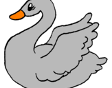 Desenho Cisne pintado por lugu