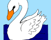 Desenho Cisne pintado por maria eduarda