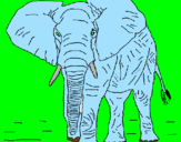 Desenho Elefante pintado por gabriel  ribeiro  borges