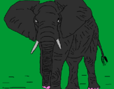 Desenho Elefante pintado por tar