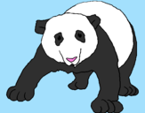 Desenho Urso panda pintado por Gaby