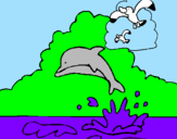Desenho Golfinho e gaviota pintado por diogo