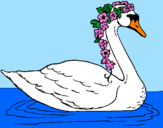 Desenho Cisne com flores pintado por Duda Bella
