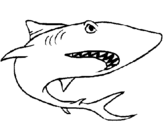 Desenho Tubarão pintado por rita