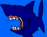 Desenho Tubarão pintado por oswaldo