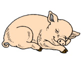 Desenho Porco a dormir pintado por joão