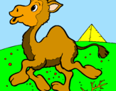 Desenho Camelo pintado por diogo