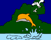 Desenho Golfinho e gaviota pintado por eliane pedro