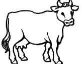 Desenho Vaca pintado por João