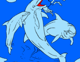 Desenho Golfinhos a brincar pintado por Matheus-Peixe