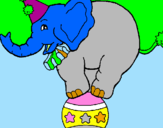 Desenho Elefante em cima de uma bola pintado por gi