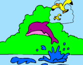 Desenho Golfinho e gaviota pintado por flora