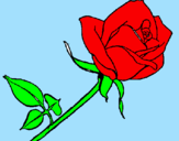 Desenho Rosa pintado por luiza  Bisonhim