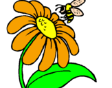 Desenho Margarida com abelha pintado por Gabriella