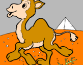 Desenho Camelo pintado por emessias