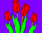 Desenho Tulipa pintado por gabryell