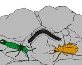 Desenho Vários insectos pintado por luiz fernando