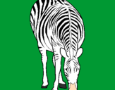 Desenho Zebra pintado por Duda Bella
