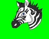 Desenho Zebra II pintado por jefferson