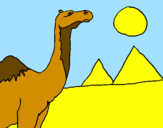 Desenho Camelo pintado por jessica