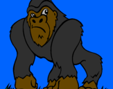 Desenho Gorila pintado por NR7
