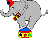 Desenho Elefante em cima de uma bola pintado por elefantinho