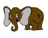 Desenho Elefante pequeno pintado por Yarla