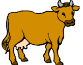 Desenho Vaca pintado por antonio