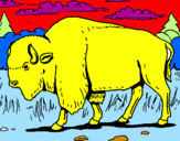 Desenho Búfalo pintado por nayara luisa