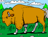 Desenho Búfalo pintado por rrrrrrrrrrrrr