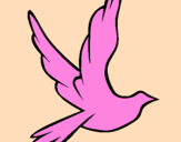 Desenho Pomba da paz a voar pintado por maria fer