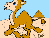 Desenho Camelo pintado por lukas