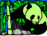 Desenho Urso panda e bambu pintado por sergio