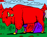 Desenho Búfalo pintado por anónimo