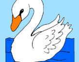 Desenho Cisne pintado por Viiiviii