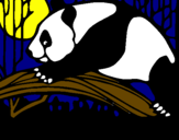 Desenho Urso panda a comer pintado por lili
