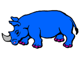 Desenho Rinoceronte pintado por ana