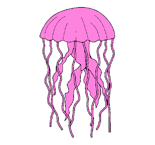 Desenho Medusa pintado por Água viva