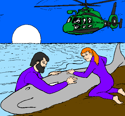 Desenho Resgate baleia pintado por sander